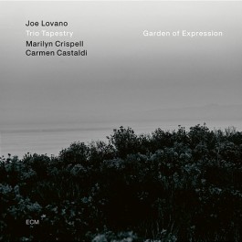 Joe Lovano Trio Tapestry Garden Of Expression CD