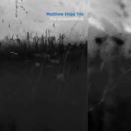 Matthew Shipp Trio Unidentifiable CD