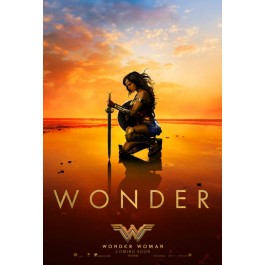 Patty Jenkins Wonder Woman DVD